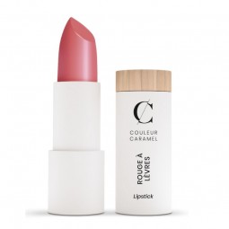 Bright lipstick nr.504 powdery pink COULEUR CARAMEL